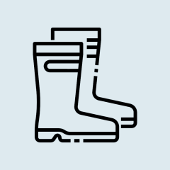 Wellingtons