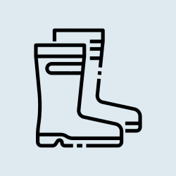 Wellingtons