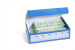 ASSORTED BLUE PLASTERS (100)
